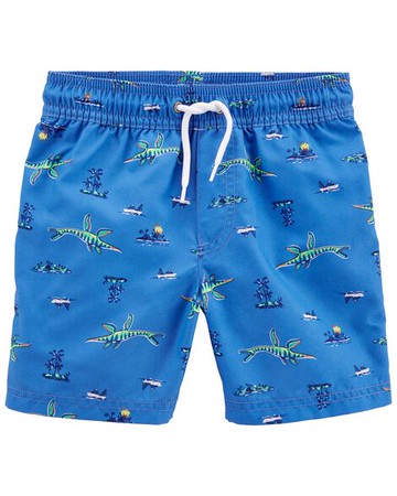 Toddler Dinosaur Swim Trunks