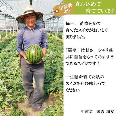 ふるさと納税 南島原市 シャリっと爽快!夏の大玉スイカ 「羅皇」 1玉