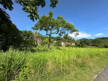 Ⓣ六龜大面寬臨路漂亮農地｜高雄市六龜區新寮段