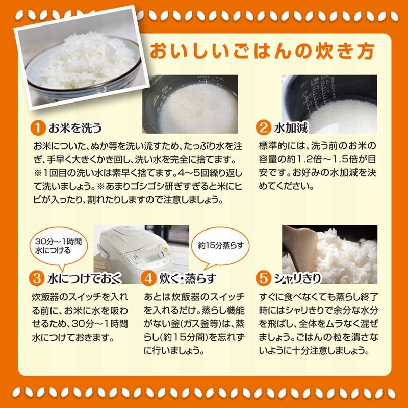 くまさんの輝き 4kg 熊本県産 令和6年産 お米 精米 白米 2kg×2袋