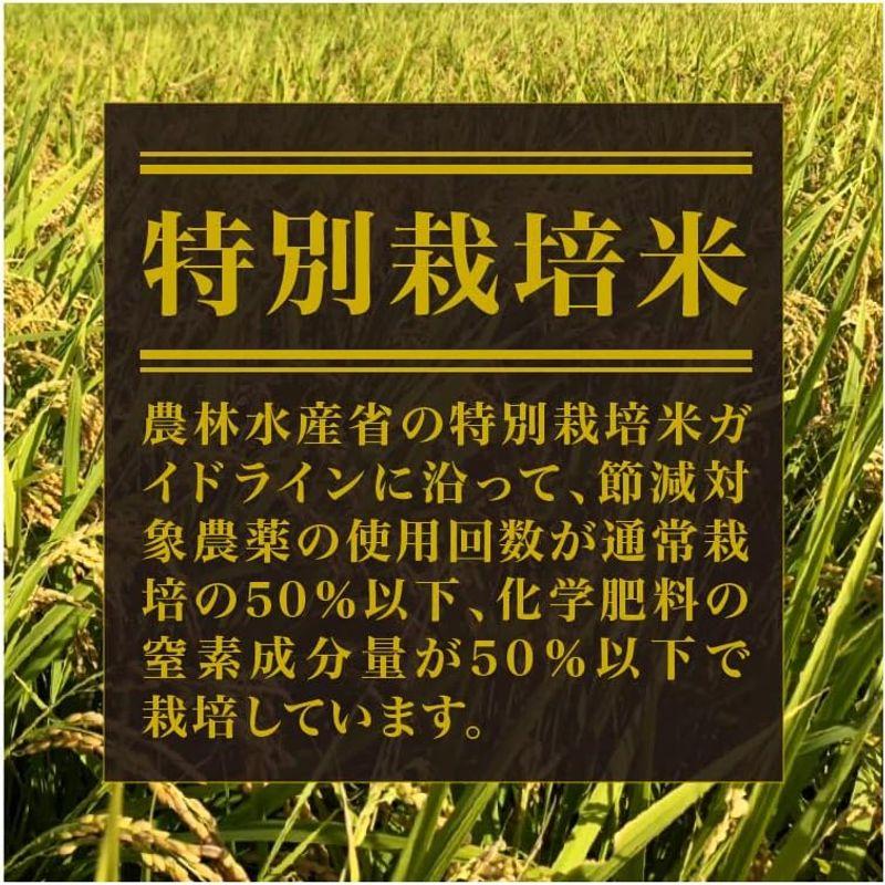 令和4年産玄米富山県産 コシヒカリ 米山農産の特別栽培米 自然型乾燥米 DAG米 一等米 (5kg)