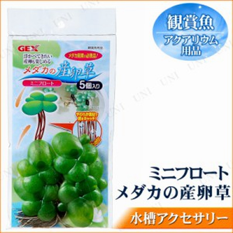 メダカの産卵草 ミニフロート メダカ 水草 アクアリウム用品 ペット用品 ペットグッズ 水槽用品 水槽用具 通販 Lineポイント最大6 0 Get Lineショッピング