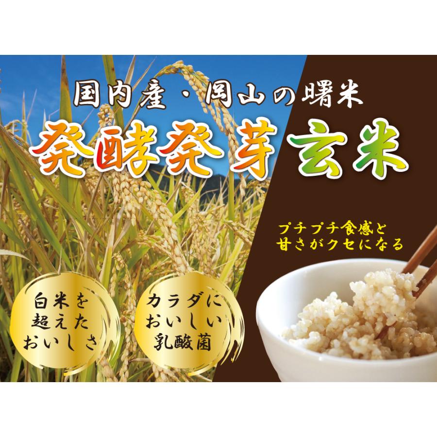 発酵発芽玄米 玄米ご飯 健康食 国内産 乳酸菌 植物性 発芽玄米