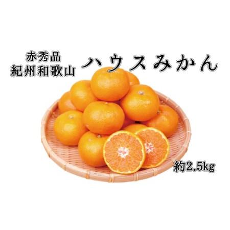 ふるさと納税 赤秀品　紀州和歌山ハウスみかん2.5kg※2024年6月下旬頃〜2024年7月中旬頃に順次発送予定(お届け日指定不可) 和歌山県北山村