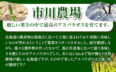 [1.5-70]　市川農場とれたてグリーンアスパラLサイズ1.5kg