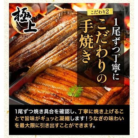 うなぎ 国産 蒲焼 蒲焼き 1尾155g以上 合計310g 鰻 九州産 ウナギ 鰻 ギフト 贈り物 九州 冷凍 1-5営業日以内に出荷予定(土日祝除)