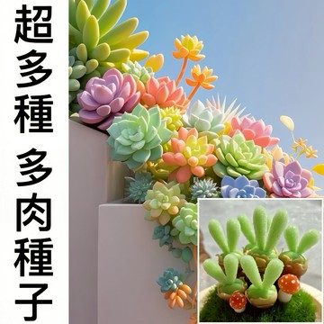 現貨現發  【多肉種子】（100粒）四季種植 超可愛多肉植物種子生石花 屁屁花 吸財樹 小兔子超高發芽率 觀賞花卉種子