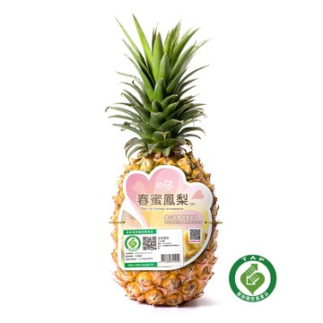 [家速配]履歷大春蜜鳳梨1.5公斤/支