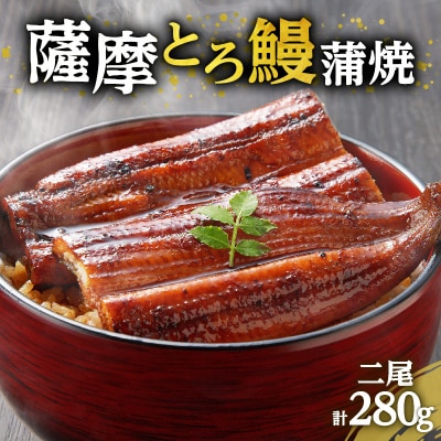 薩摩とろ鰻蒲焼二尾