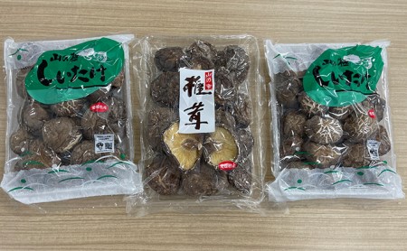 愛媛県産乾椎茸特選セット　ドンコ 茶撰