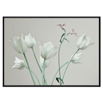 Boluo 菠蘿選畫所 花語 鬱金香I BFEF3404B 掛畫 40 x 30cm 黑色