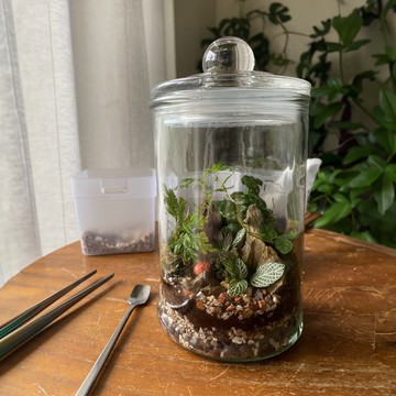 線上課程材料包_野地風格微景觀生態瓶