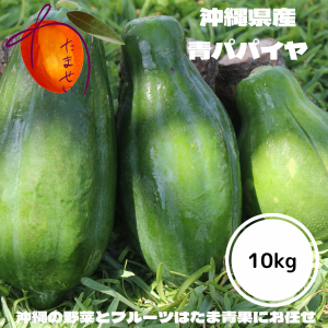 沖縄産青パパイヤ 約１０ｋｇ