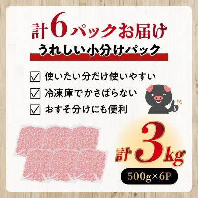 ふるさと納税 南九州市 鹿児島県産黒豚ミンチ500g×6Pセット