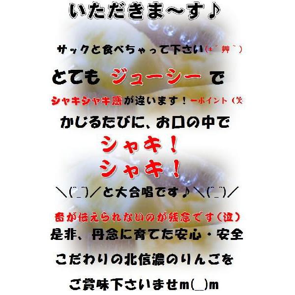 さんふじりんご　個数限定　長野 サンふじりんご 自家用１０ｋｇ 訳あり　ご家庭用７年連続1位のこだわりりんご