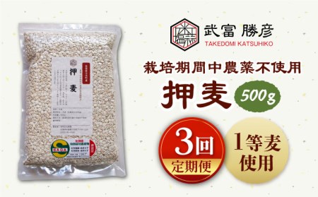 押麦500g（1等麦使用）特別栽培農産物 麦[HAJ037]