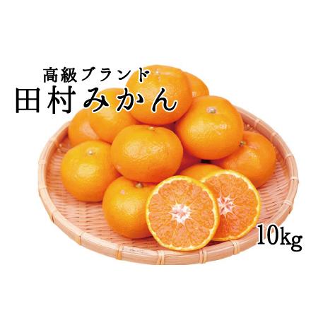 ふるさと納税 高級ブランド田村みかん　10kg※2023年11月下旬〜2024年1月下旬頃に順次発送予定(お届け日指定不可) 和歌山県串本町