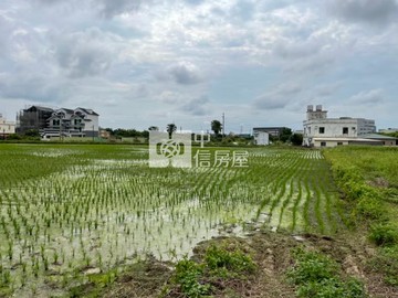 楊梅老飯店台31可農保資材室農舍便宜六米路農地｜桃園市楊梅區和平段