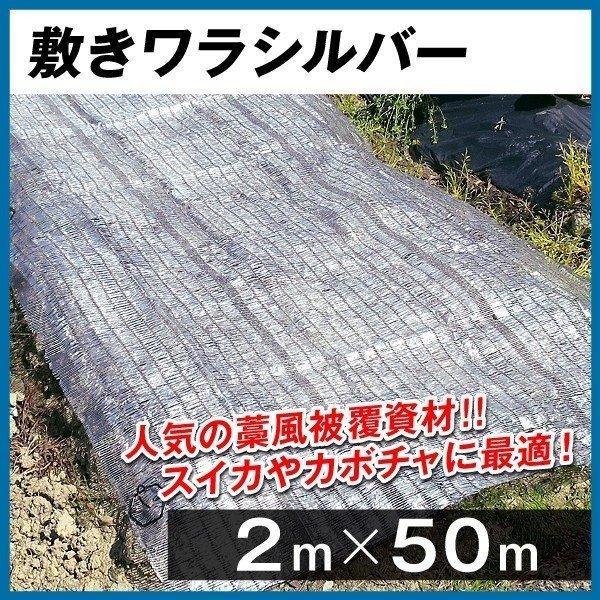 農業用マルチシート 敷きわら 敷きワラシルバー 2m×50m 1巻1組 農用 藁 ワラ風シート マルチング 被覆資材 ポリエチレン 透水 防虫 国華園  LINEショッピング