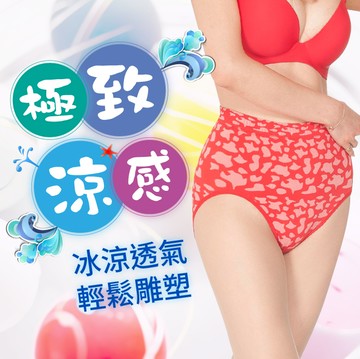 【JS嚴選】台灣製性感豹紋涼感紗中腰無縫三角褲(中腰豹紋褲*6)