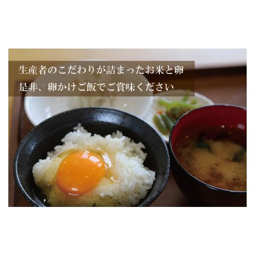 ふるさと納税 岩手県 紫波町 YA001「ひとめぼれ」と「平飼い卵」のたまごかけご飯セット