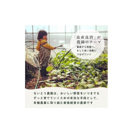 ふるさと納税 埼玉県 伊奈町 有機農家の採れたて季節野菜のセット