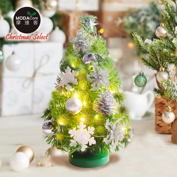 摩達客-台灣製1尺30cm精緻綠色聖誕＋聖誕花雪片銀白系裝飾品組_免組裝＋20燈LED銅線燈串暖白光-USB電池盒兩用_廠商直送