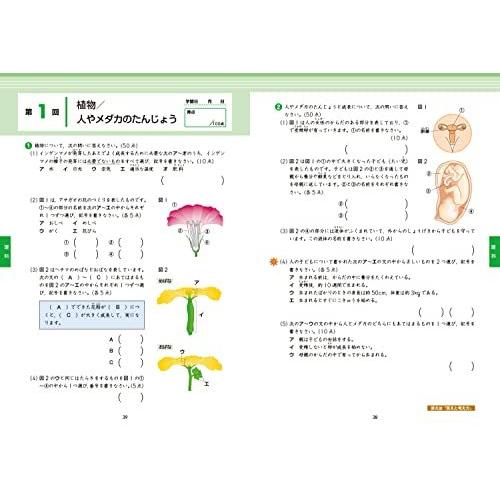 Z会小学生わくわくワーク 2021・2022年度用 5年生総復習編