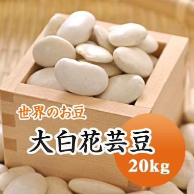 豆 白花豆 大白花芸豆 20kｇ 中国産 送料無料