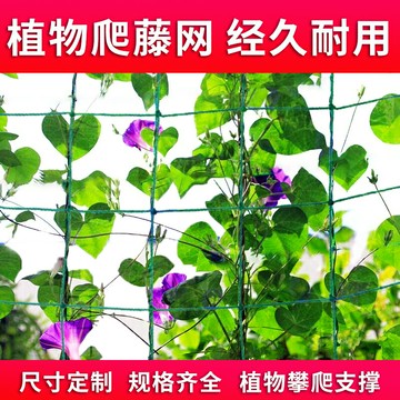 農用園藝戶外爬藤網植物攀爬黃瓜絲瓜葡萄百香果專用網瓜果種植粗