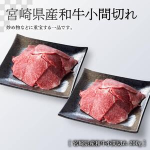 《生産者支援品》宮崎牛ロースステーキ (宮崎県産和牛こま切れの付き) 700g 肉 牛 牛肉