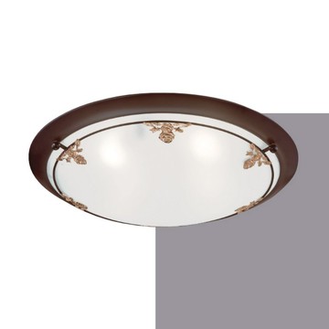 E27 玻璃吸頂五燈 B250-53-12-3071