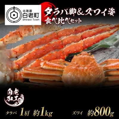 ふるさと納税 白老町 タラバ脚  ズワイ姿 食べ比べ セット BM063