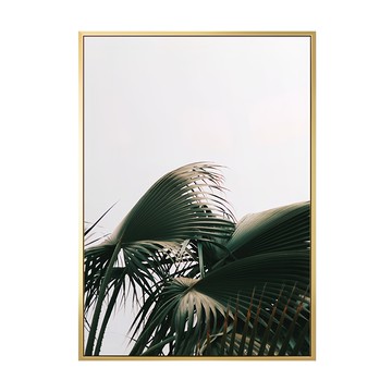 菠蘿選畫所 盛夏時分 金色 油畫布+松木內框  30 x 40cm