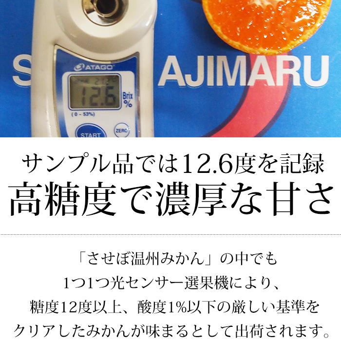 みかん 長崎県産 味まる 大 約4.5kg 2L〜3Lサイズ 20〜30個