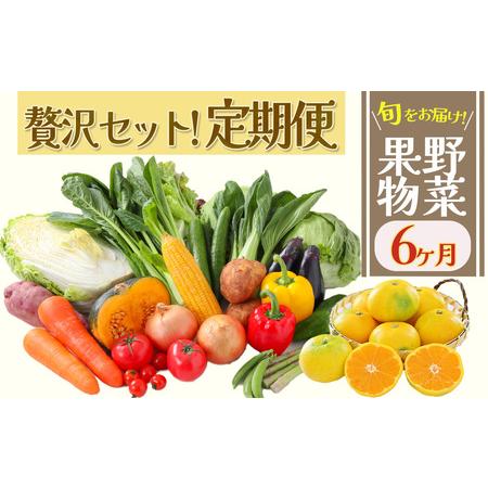 ふるさと納税 湯の花　旬の野菜と果物セット半年間の定期便 静岡県南伊豆町