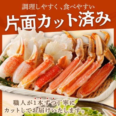 ふるさと納税 京丹後市 高鮮度!お刺身でも食べられる!カット生ズワイガニ 2肩分