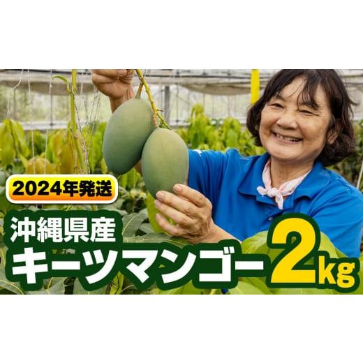 ふるさと納税 沖縄県 南風原町 沖縄県産キーツマンゴー2kg