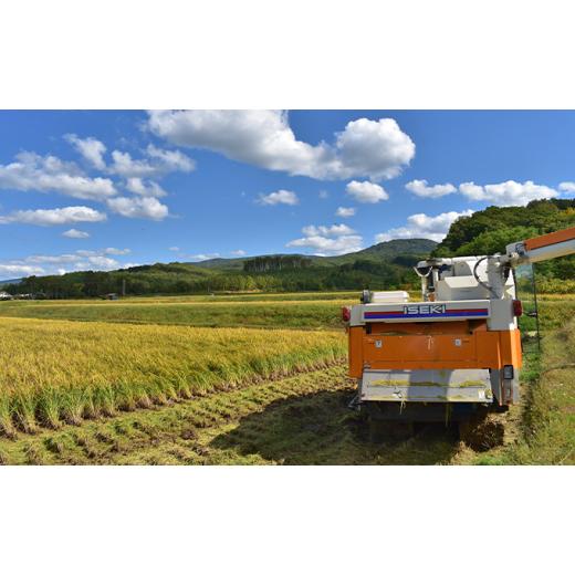 ふるさと納税 北海道 仁木町 12ヵ月連続お届け　銀山米研究会のお米＜ゆめぴりか＆ななつぼし＞セット（計10kg）