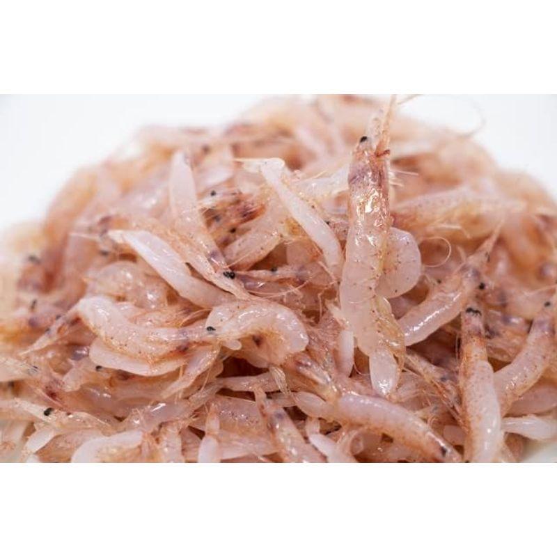 生桜えび (冷凍) 500g 刺身・生食用鮮度の良い桜海老を急速冷凍。刺身・寿司・丼にお使いいただけます冷凍便