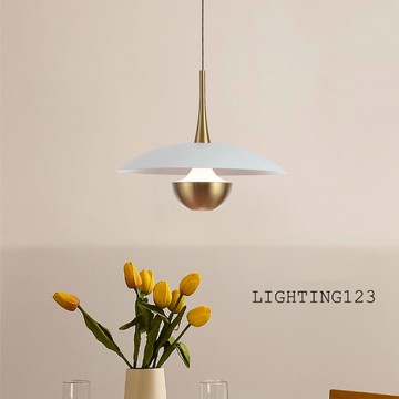 10W金屬吊燈｜F02-KF-20011