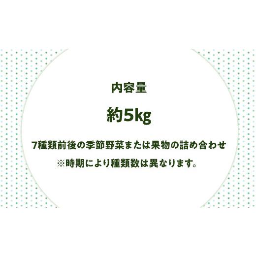 ふるさと納税 和歌山県 和歌山市 旬をお届け！和歌山市産・野菜または果物の詰め合わせ