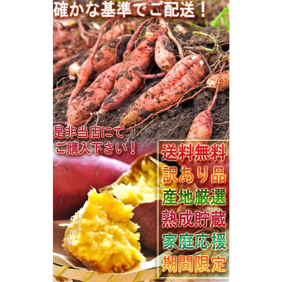 紅あずま・紅はるか・紅ゆうか 紅まさり さつまいも 約10kg 千葉県・茨城県産 訳あり品 濃厚な味と栄養豊富な旬の野菜！甘み溢れる薩摩芋をお届け