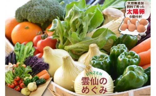 ”雲仙のめぐみ”旬の野菜セット（Ｓ） 8～10品目セット