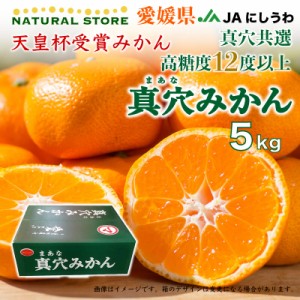 [予約 2023年 12月11日から12月20日の納品] 真穴みかん みかん 約5kg スポット入荷 愛媛県 西宇和 真穴共選 天皇杯受賞 産地箱 冬ギフト