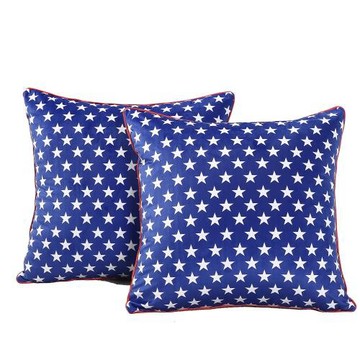 亞馬遜速賣通蝦皮跨境貨源荷蘭絨印花樣板間抱枕套Cushion cover