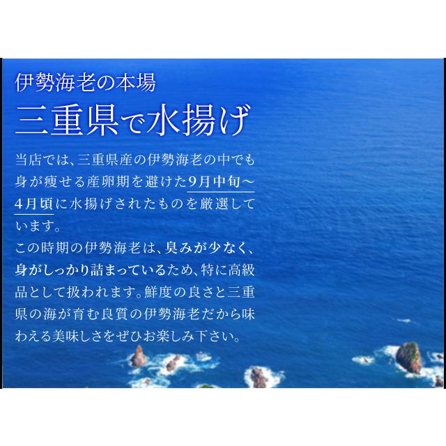 松阪牛 伊勢海老 詰合せ 美し国 三重 伊勢路 −喜−ギフト パッケージ Ａ５ランク厳選 松阪牛 切り落とし 肉 ２００ｇ 三重県産 伊勢海老 １尾 詰合せ