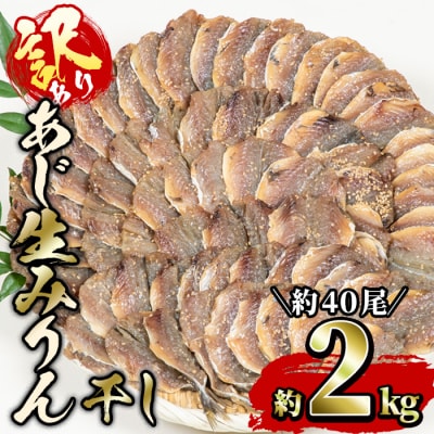 あじの生みりん干し (計約2kg・約40尾)