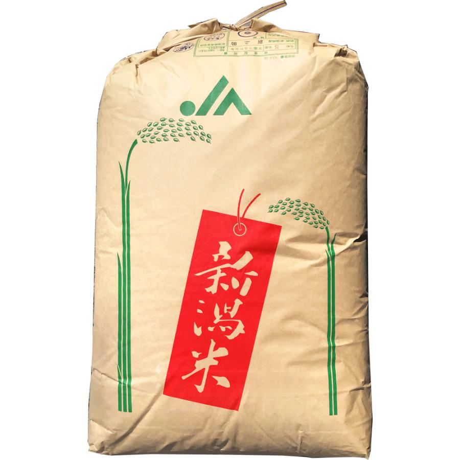 玄米　5kg　新潟　新之助（しんのすけ）