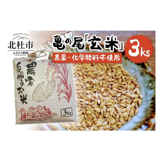 ふるさと納税 山梨県 北杜市 白州米 亀の尾『玄米』3kg